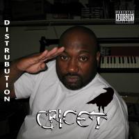 Artwork for Distribution by Cricet