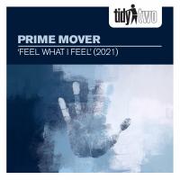 Artwork for Feel What I Feel 2021 by Prime Mover