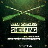 Artwork for Sheeping by Petar Cvetkovic