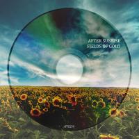 Artwork for Fields Of Gold by After Sunrise