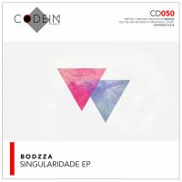 Artwork for Singularidade EP by Bodzza