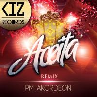 Artwork for Aceita (Remix) by PM Akordeon