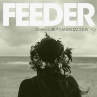 Artwork for Dove Grey Sands (Acoustic Version) by Feeder