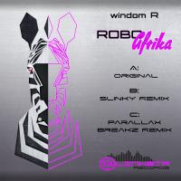 Artwork for RoboAfrika by Windom R