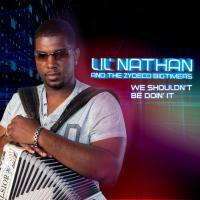 Artwork for We Shouldn't Be Doin' It by Lil' Nathan & The Zydeco Big Timers