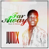 JuniX