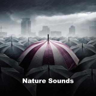 Artwork for Angry Storm (Original Mix)