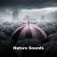 Artwork for Angry Storm (Original Mix)