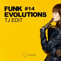 Artwork for Funk Evolutions #14 by Tj Edit