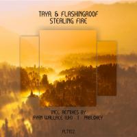 Artwork for Stealing Fire by Тая