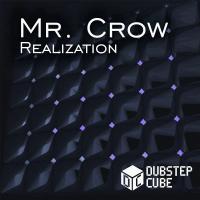 Artwork for Realization by Mr. Crow