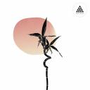 Artwork for Positive Spirit (Original Mix)