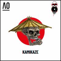 Artwork for Kamikaze by Hilton Caswell