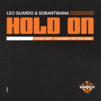 Artwork for Hold On by Leo Guardo