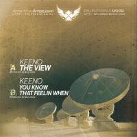 Artwork for The View by Keeno