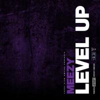 Artwork for Level Up by Meezy