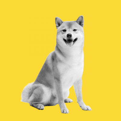 Artwork for Viral Hits
