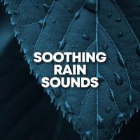 Artwork for Soothing Rain Sounds by Rain Sounds Sleep