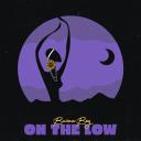 Artwork for On the Low