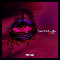 Artwork for Awakening by Sam Wolff