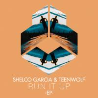 Artwork for Run It Up by Shelco Garcia