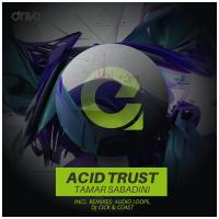 Artwork for Acid Trust by Tamar Sabadini