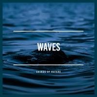 Artwork for Waves by Sounds Of Nature