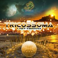 Artwork for Lost Kingdom by Ectima