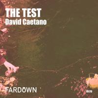 Artwork for The Test by David Caetano