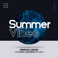 Artwork for Summer Vibes by Tropical House