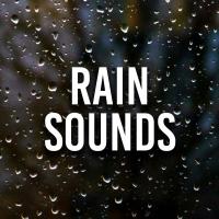 Artwork for Rain Sounds by Nature Sounds Nature Music