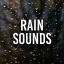 Artwork for Afternoon Rain