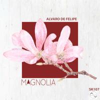 Artwork for Magnolia by Alvaro de Felipe