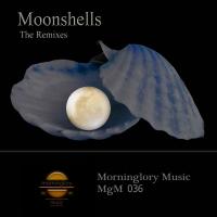 Artwork for Moonshells The Remixes by Morninglory