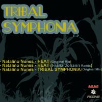 Artwork for Tribal Symphonia EP by Natalino Nunes