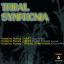 Artwork for Tribal Symphonia (Original Mix)