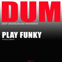 Artwork for Play Funky by Gianluca Calabrese