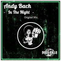 Artwork for In The Night by Andy Bach