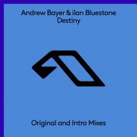 Artwork for Destiny by Andrew Bayer