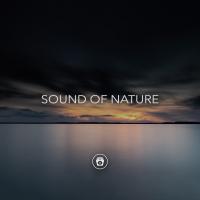 Artwork for Sound Of Nature by Soothing Music