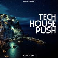 Artwork for Tech House Push by Various Artists