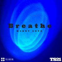 Artwork for Breathe by Harry Soto