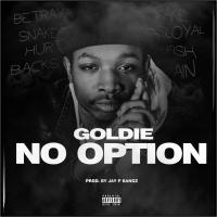 Artwork for No Option by Goldie