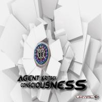 Artwork for Consciousness by Agent Kritsek