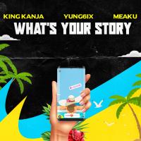 Artwork for What's Your Story by King Kanja