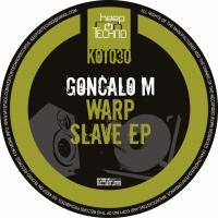 Artwork for Warp Slave EP by Goncalo M