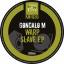 Artwork for Warp Slave (Original Mix)
