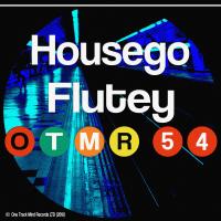 Artwork for Flutey by Housego