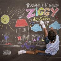Artwork for Traxamillion Presents: It Was a Hot Summer by Ziggy