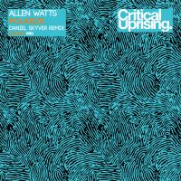 Artwork for Polarize (Daniel Skyver Remix) by Allen Watts